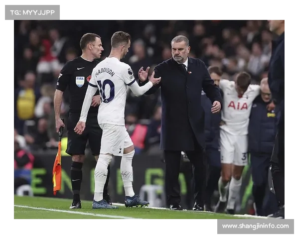 麦迪逊看台推开庆祝好友，热刺中场养伤期间场边插曲